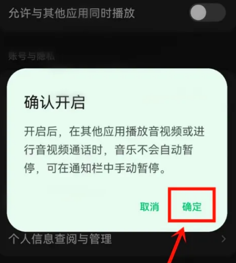 汽水音乐如何设置不被打断-设置不被打断的操作方法