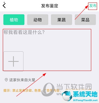 识物怎么鉴定 操作方法详解图(识物如何鉴别)