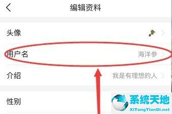 今日头条怎么更改用户名(今日头条怎么修改昵称)
