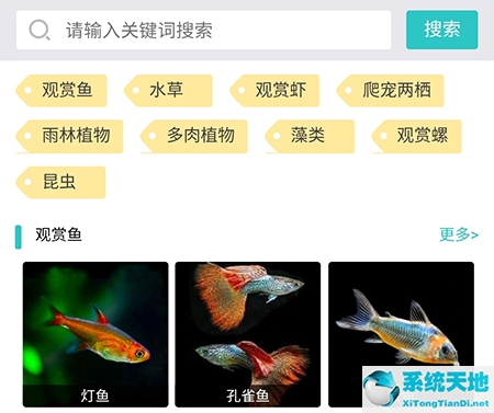 泡泡水族怎么删除帖子(泡泡水族论坛官方下载)