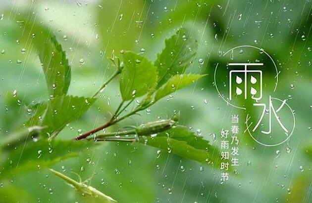 蚂蚁庄园：雨水节气一定会下雨吗？