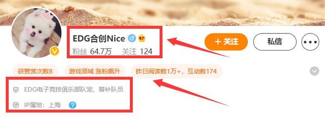 英雄联盟战队edg队宠nice昵称是什么（edg战队队宠nice全部名称介绍）