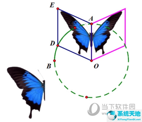 几何的蝴蝶(几何画板蝴蝶飞)