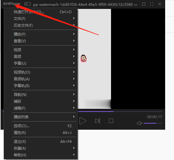 kmplayer电脑版怎么用