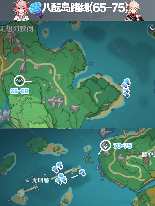 原神海灵芝分布图2.4