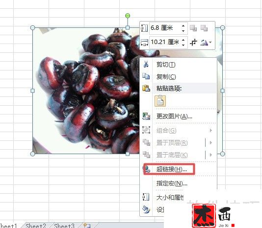 excel2010如何对插入的图片设置超链接