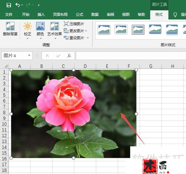 excel2019如何对插入的图片进行倒角镜像处理