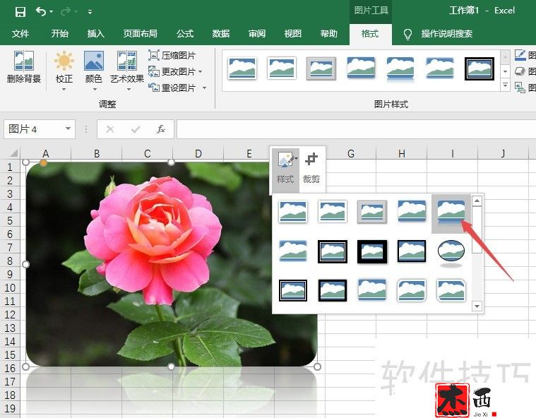 excel2019如何对插入的图片进行倒角镜像处理